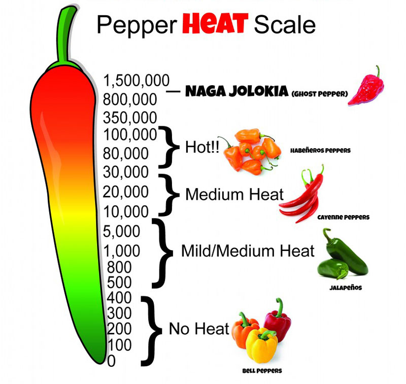 Peperoncino piccante "Habanero chocolate" - immagine 3